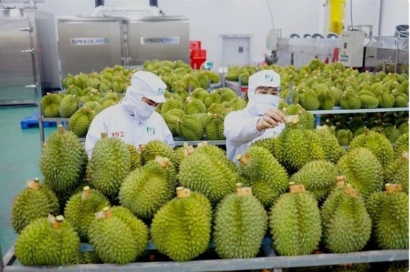 Vietnam tightens fruit inspections after warning from China